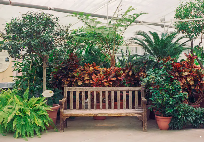 Conservatories in Newcastle upon Tyne Conservatory filled with plants and a wooden garden bench, illustrating conservatories for homes in Newcastle upon Tyne